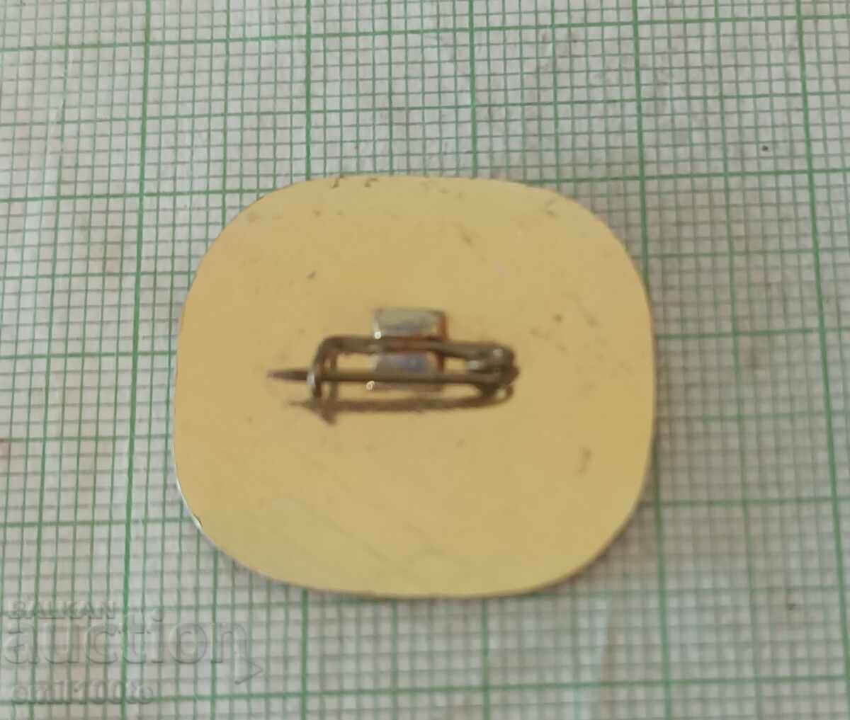 Badge - Panorama Pleven Epic 1877 Pleven - 5 Badge - Panorama Pleven Epic 1877 Pleven - 5