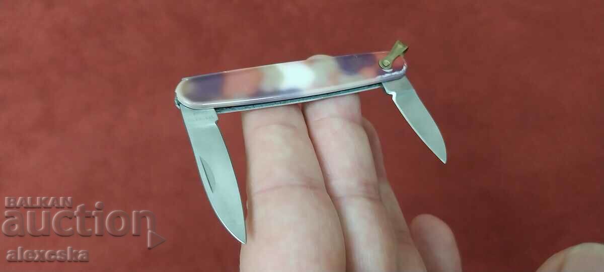 Auction  Collector's knife