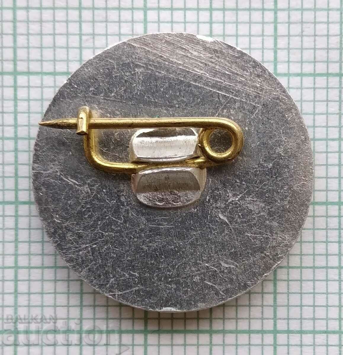 Auction 16406 Badge - Hydrostroy Auction 16406 Badge - Hydrostroy