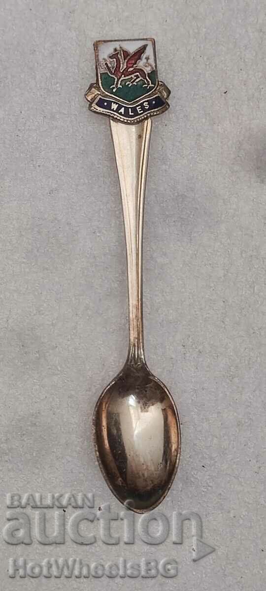 Silver-plated coffee spoon, enamel-Wales