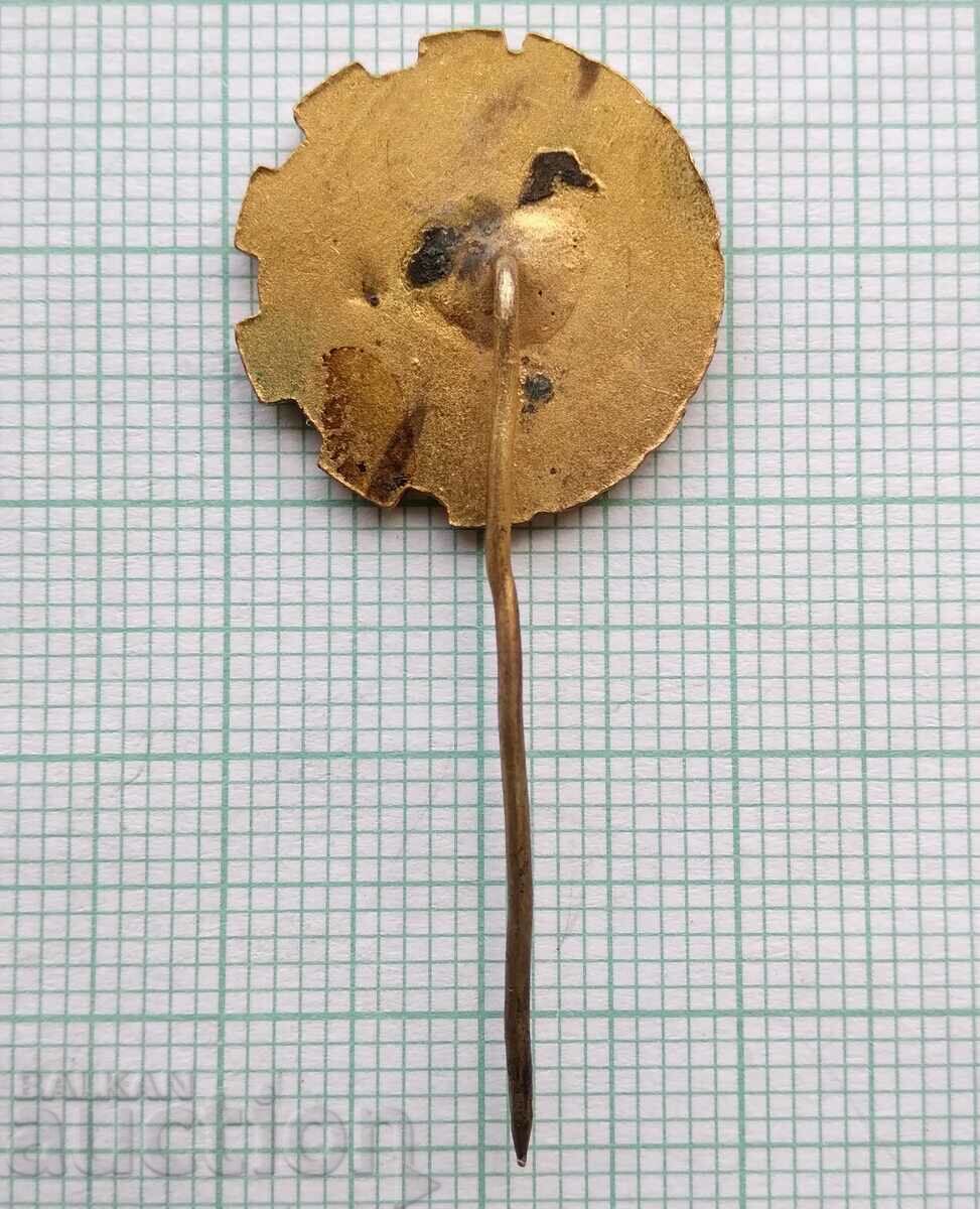 Auction 16408 Badge - NTS Scientific and Technical Union Auction 16408 Badge - NTS Scientific and Technical Union