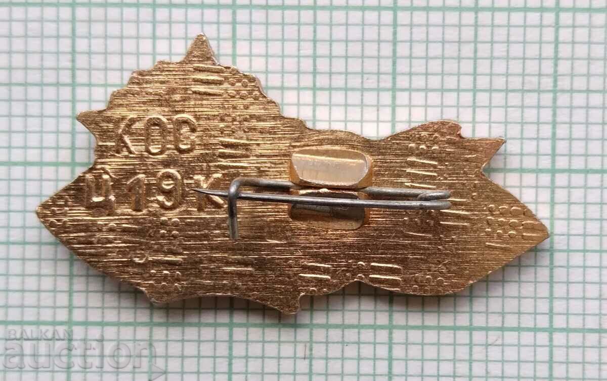 Auction 16418 Badge - Krasnoyarsk Auction 16418 Badge - Krasnoyarsk