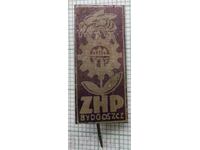 16419 Badge - ZHP Bydgoszcz Poland