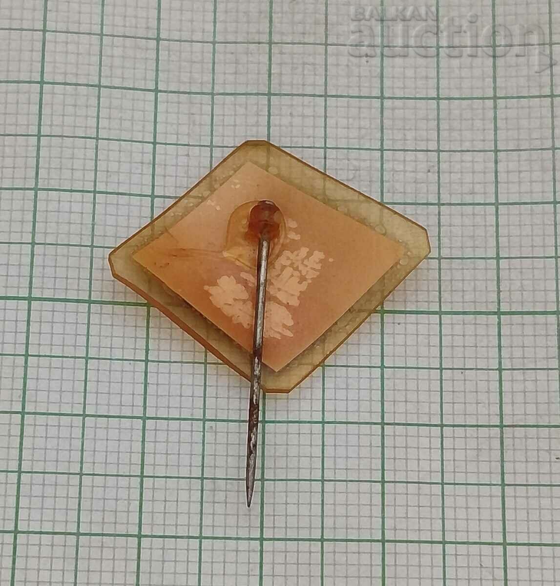 ΑΓΚΑΘΙ ΕΣΠΕΡΑΝΤΟ ΣΗΜΑ με τιμή 2.00 BGN | € 1.02 ΑΓΚΑΘΙ ΕΣΠΕΡΑΝΤΟ ΣΗΜΑ με τιμή 2.00 BGN | € 1.02