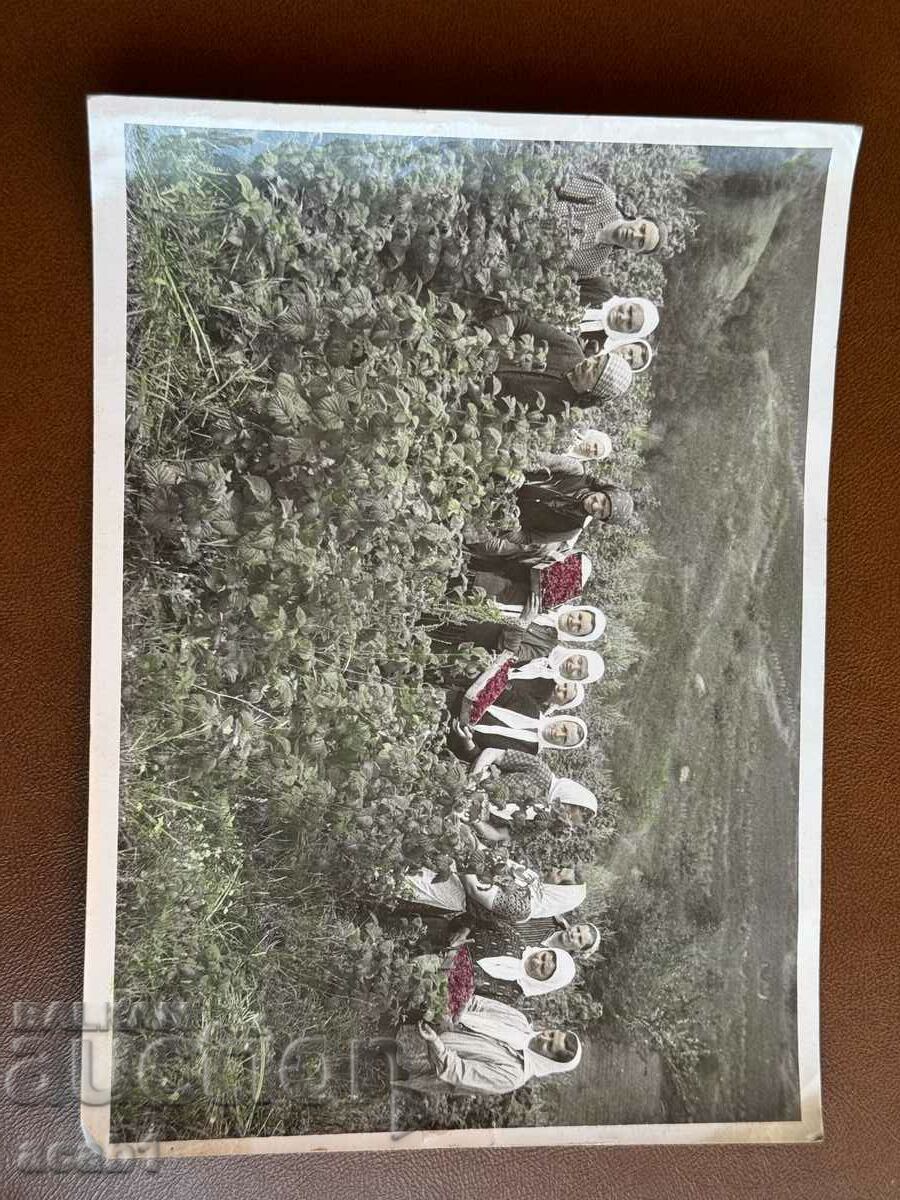 Auction  Pickers with picked Raspberries or Roses
