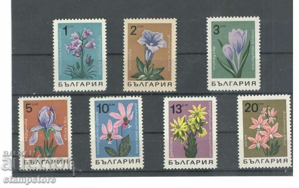 Цветя - 1968 г