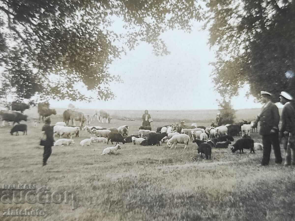 Old photo Kingdom of Bulgaria - with price 6.00 BGN | € 3.07 Old photo Kingdom of Bulgaria - with price 6.00 BGN | € 3.07