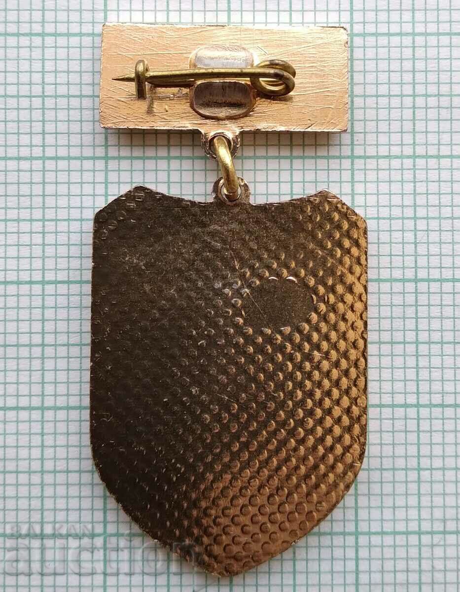 Auction 16476 Badge - BNA Warrior Athlete Auction 16476 Badge - BNA Warrior Athlete