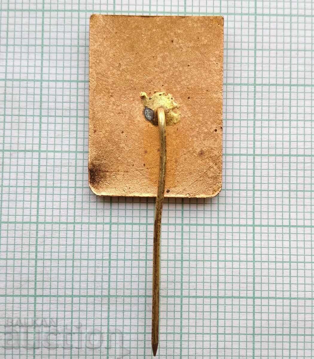 Auction 16480 Badge - Alpinism 3rd class - bronze enamel Auction 16480 Badge - Alpinism 3rd class - bronze enamel