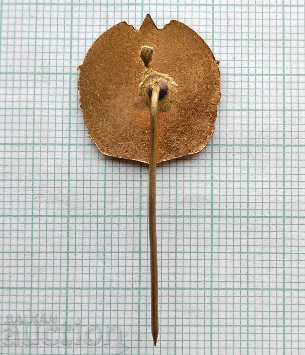 Delivery of 16486 BGTO Be ready for work and defense - bronze enamel Delivery of 16486 BGTO Be ready for work and defense - bronze enamel