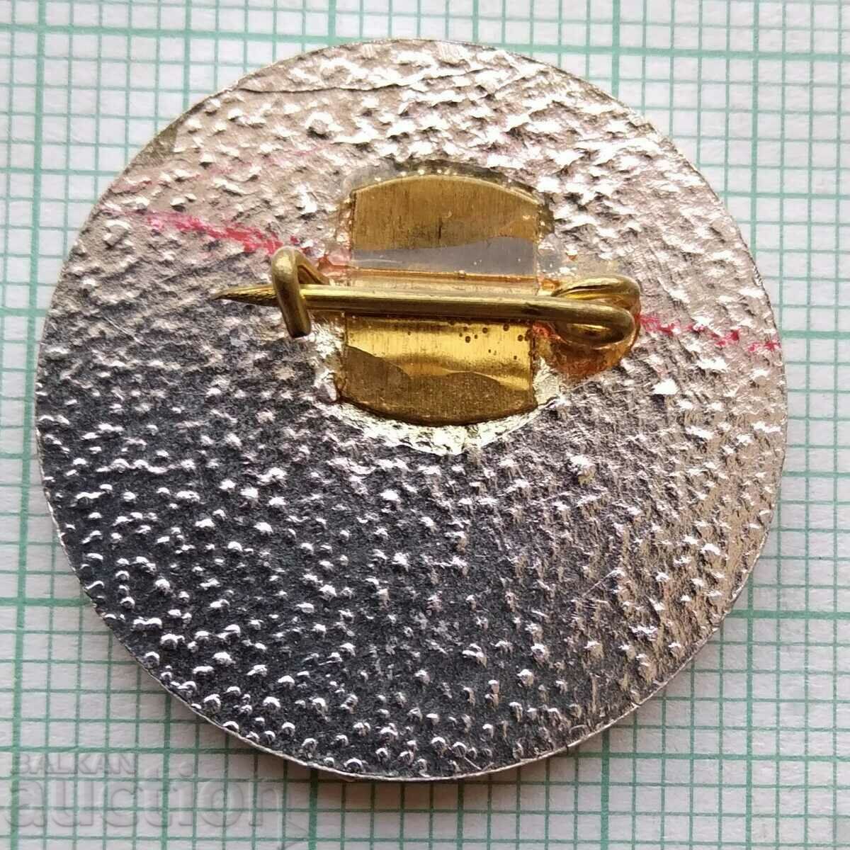 Auction 16490 Badge - Princess Raina Auction 16490 Badge - Princess Raina