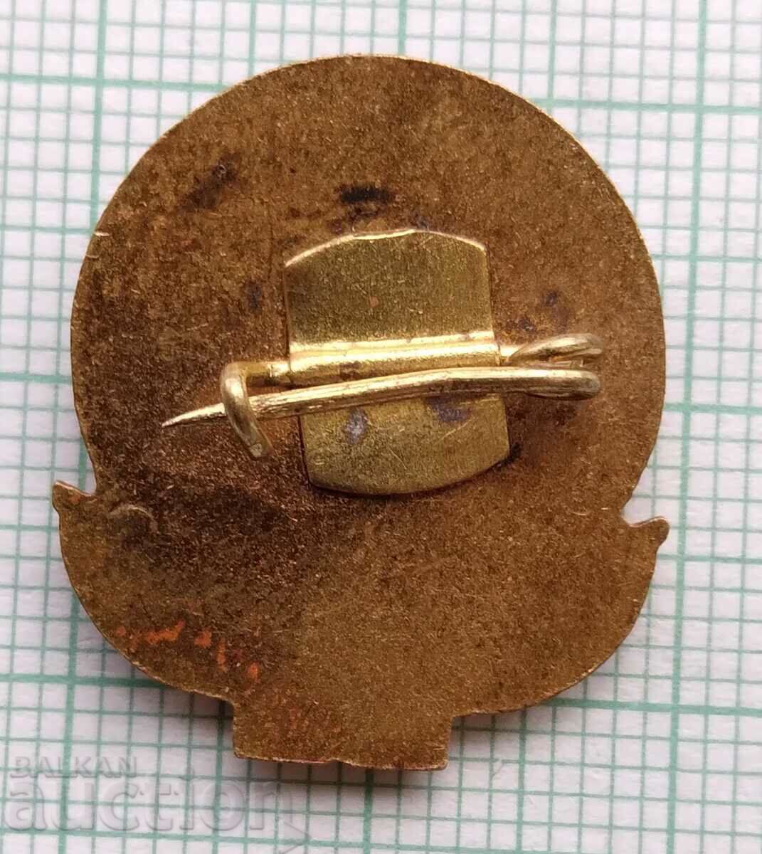 Auction 16500 Badge - Georgi Dimitrov - bronze enamel Auction 16500 Badge - Georgi Dimitrov - bronze enamel