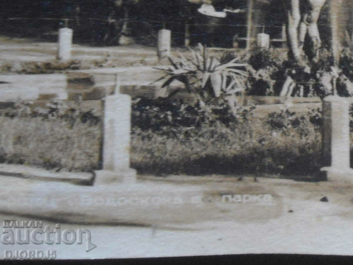 Auction Varshets, Waterfall in the park, old postcard Auction Varshets, Waterfall in the park, old postcard