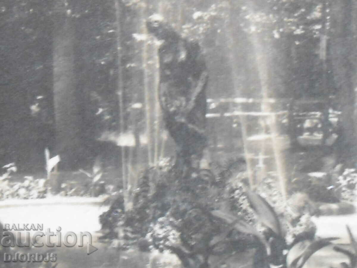 Varshets, Parka, old card with price 5.00 BGN | € 2.56