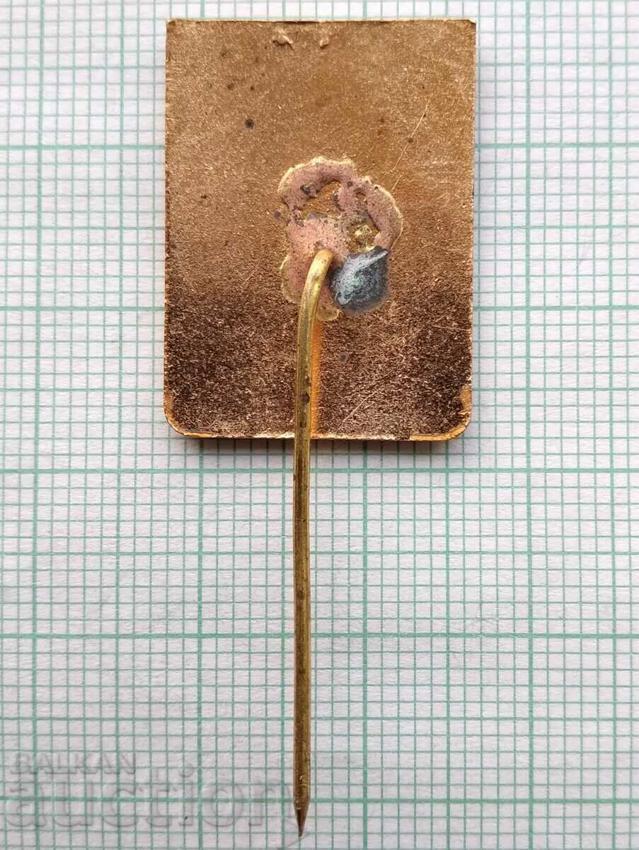 Auction 16519 Badge - Alpinism 3rd class - bronze enamel Auction 16519 Badge - Alpinism 3rd class - bronze enamel