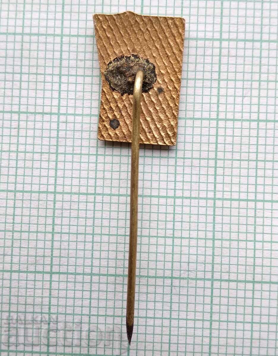 Auction 16526 Badge - SM Rodina - bronze enamel Auction 16526 Badge - SM Rodina - bronze enamel