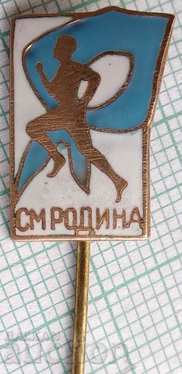 16526 Badge - SM Rodina - bronze enamel