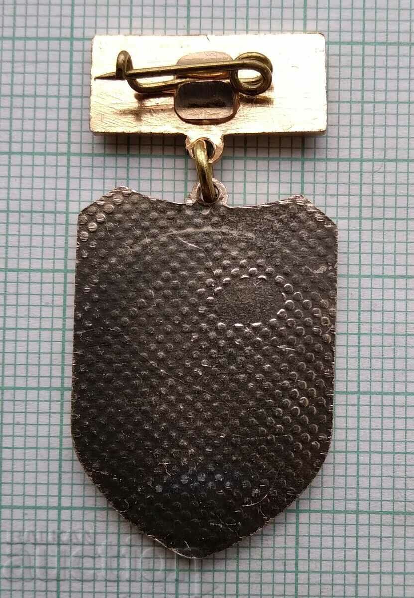 Auction 16527 Badge - BNA Warrior athlete Auction 16527 Badge - BNA Warrior athlete