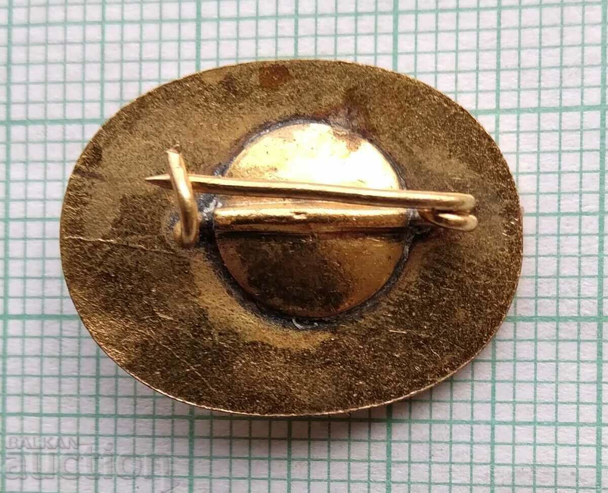 Auction 16533 Badge - Juniors and girls I degree Auction 16533 Badge - Juniors and girls I degree