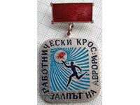 16534 Badge - Worker's Cross The Aurora Volley