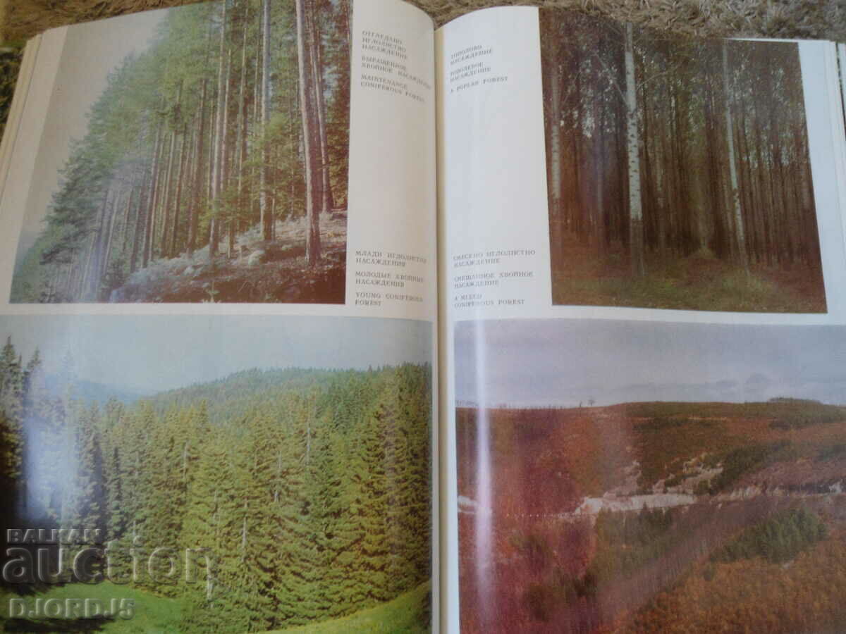 Forests and forest industry in Bulgaria - 6 Forests and forest industry in Bulgaria - 6