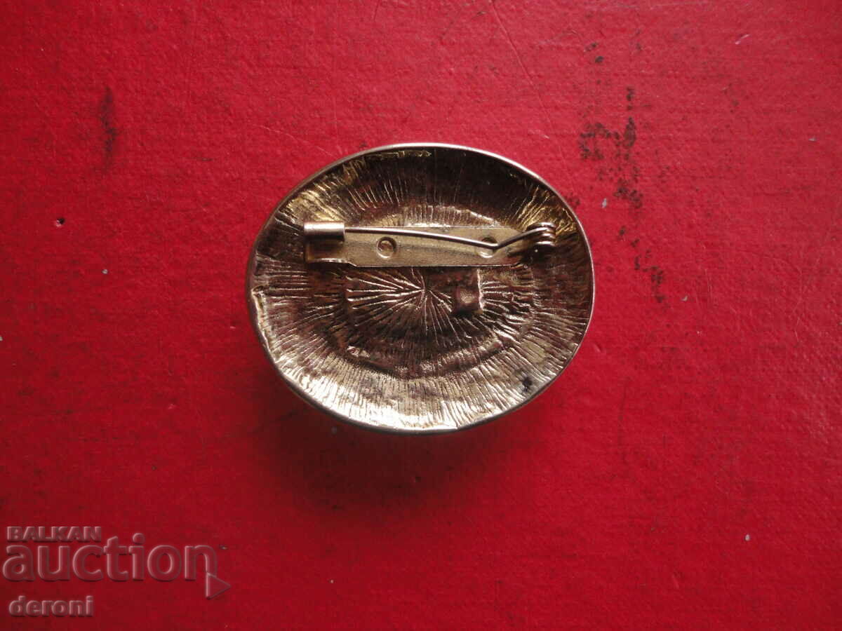 Auction Gold-plated brooch with stone 67 Auction Gold-plated brooch with stone 67