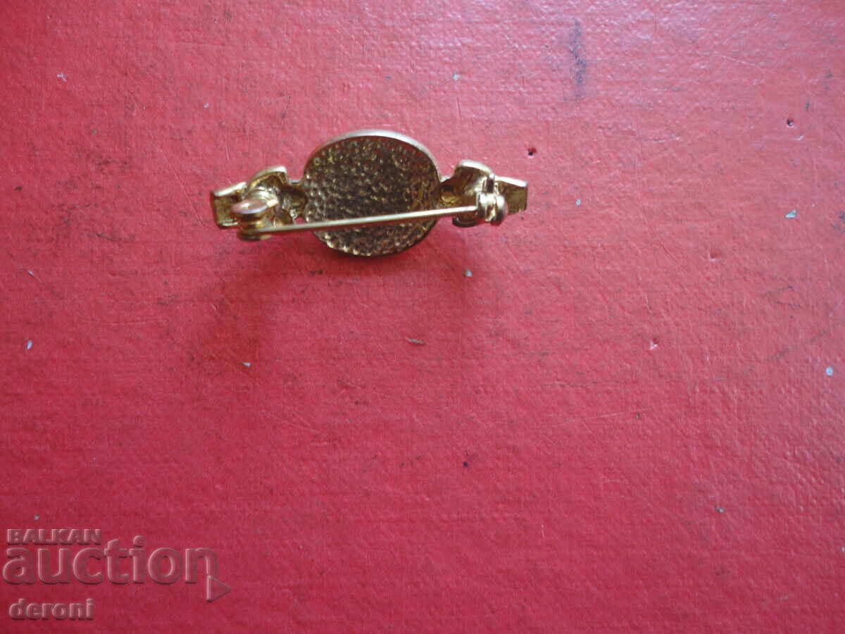 Delivery of Gold-plated brooch with stones 73 Delivery of Gold-plated brooch with stones 73
