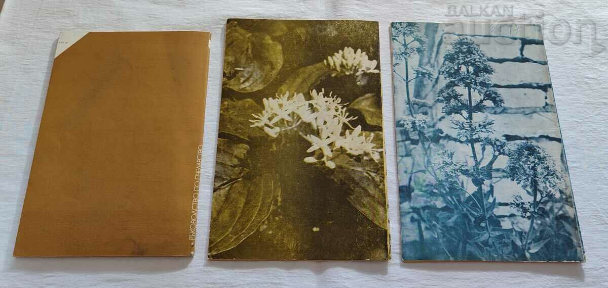 Auction SP. "BEEKEEPING" 1988 lot 6 pieces Auction SP. "BEEKEEPING" 1988 lot 6 pieces