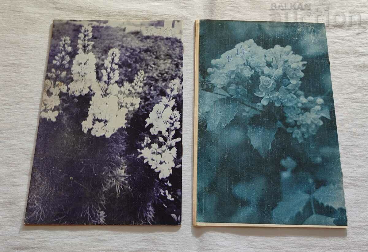 SP. "BEEKEEPING" 1988 lot 6 pieces - 5 SP. "BEEKEEPING" 1988 lot 6 pieces - 5