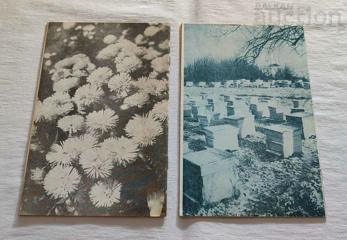 SP. "BEEKEEPING" 1988 lot 6 pieces - 7 SP. "BEEKEEPING" 1988 lot 6 pieces - 7