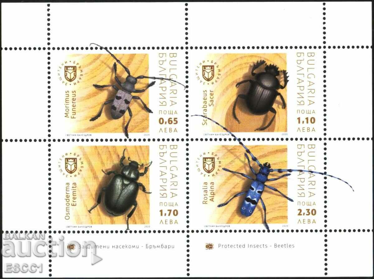 Clean block Fauna Protected insects Beetles 2020 from Bulgaria