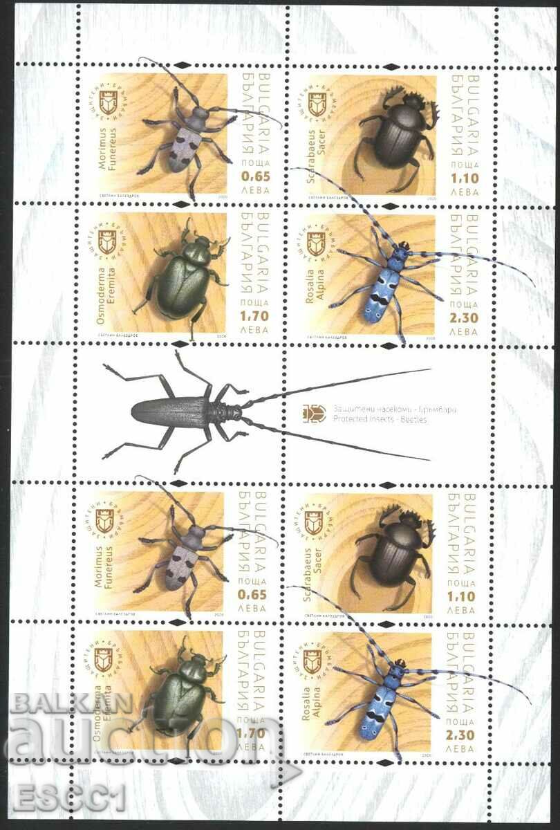Чисти марки малък лист Фауна Насекоми Бръмбари 2020 България