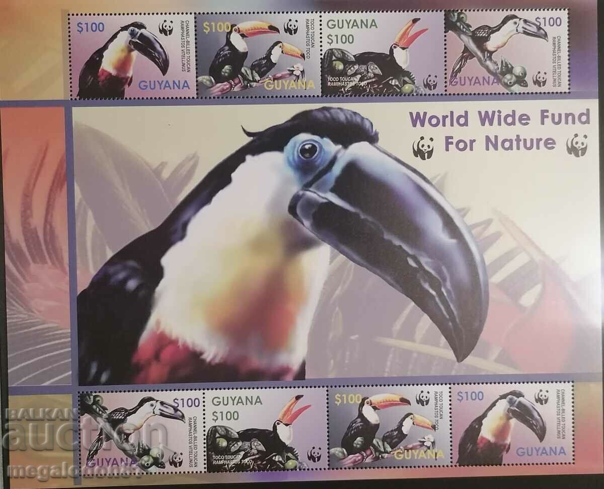 Guyana - fauna WWF, tucan, frunză mică