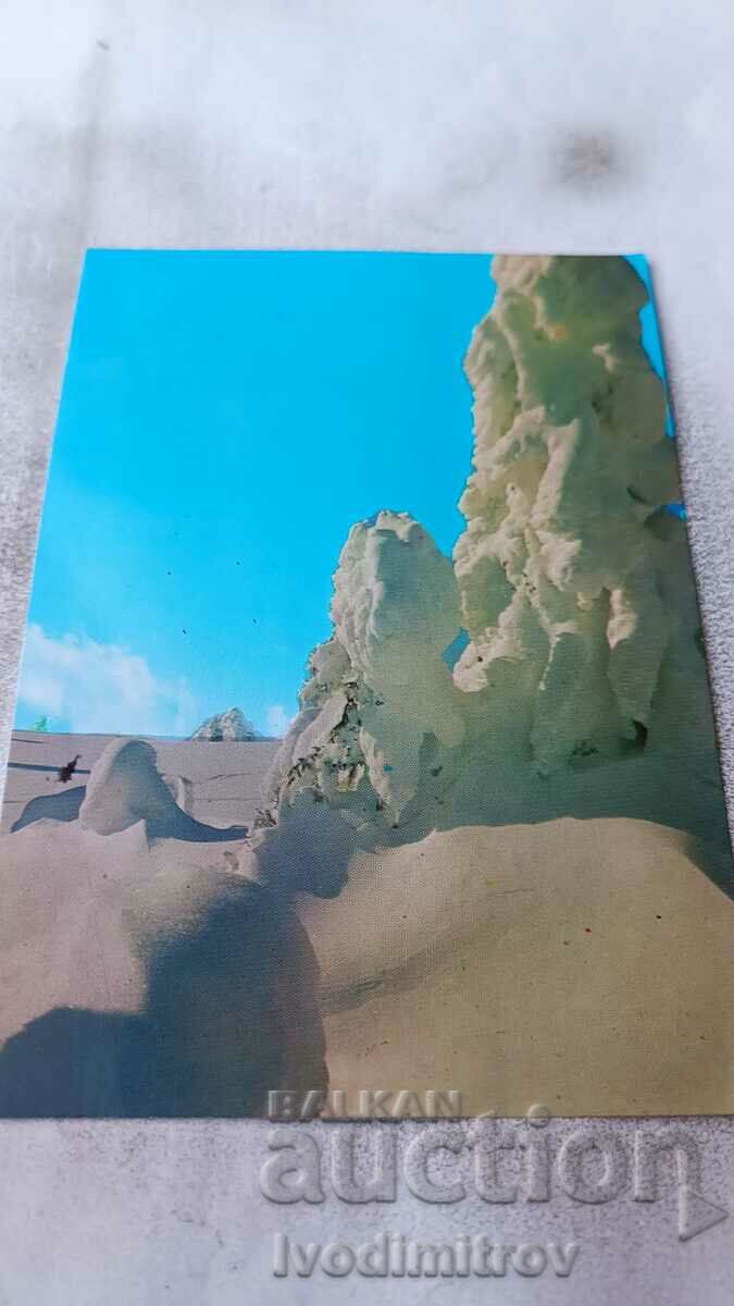 Καρτ ποστάλ Παμπόροβο Χειμερινό τοπίο