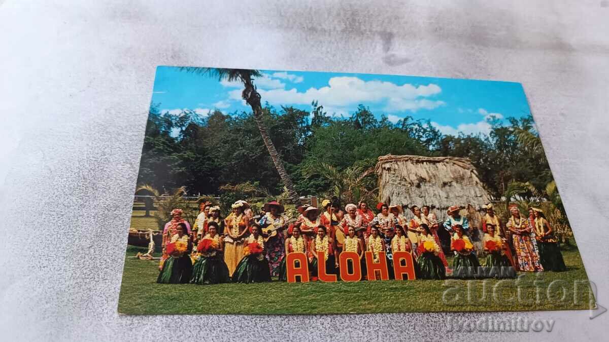 The KODAK Hula Show Postcard