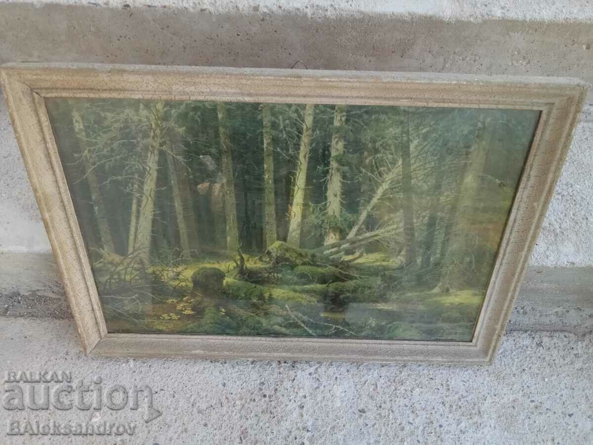 Old nature picture framed with price 10.00 BGN | € 5.11 Old nature picture framed with price 10.00 BGN | € 5.11