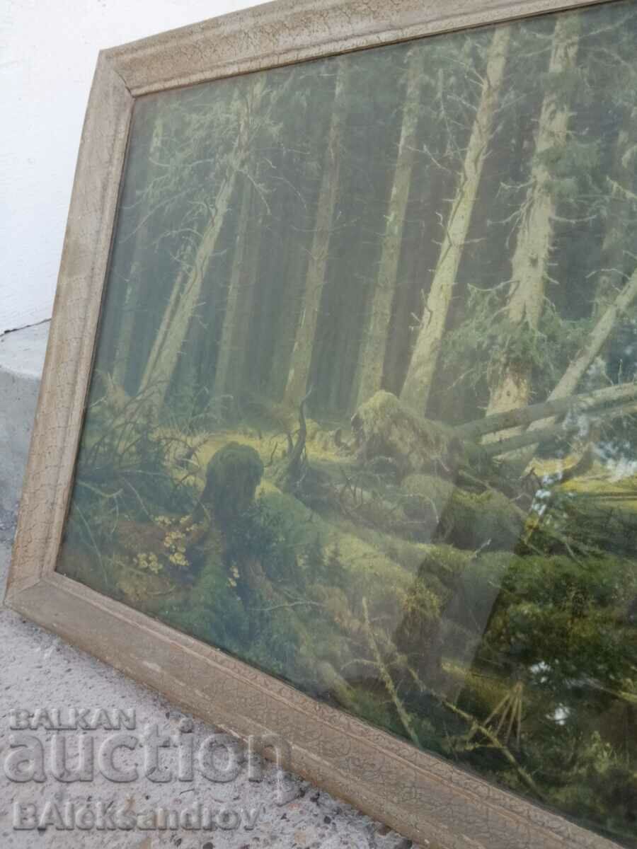 Auction Old nature picture framed Auction Old nature picture framed