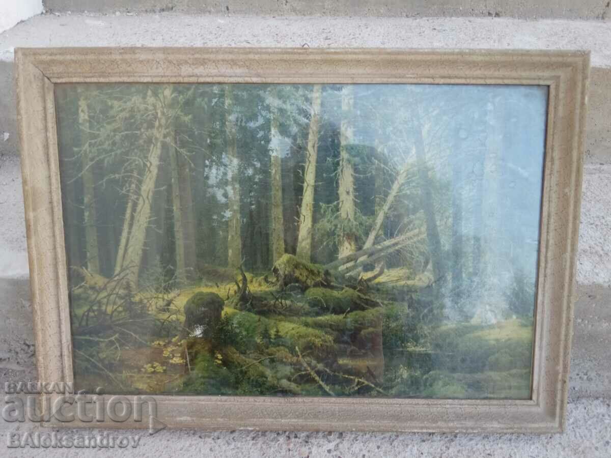 Old nature picture framed