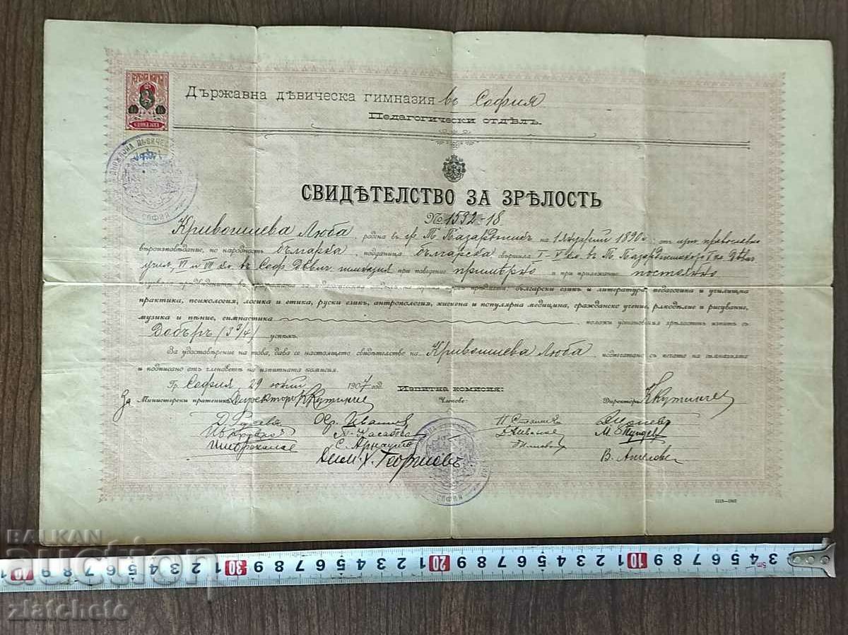 Стар документ Царство България- Свидетелство за зрелост 1907