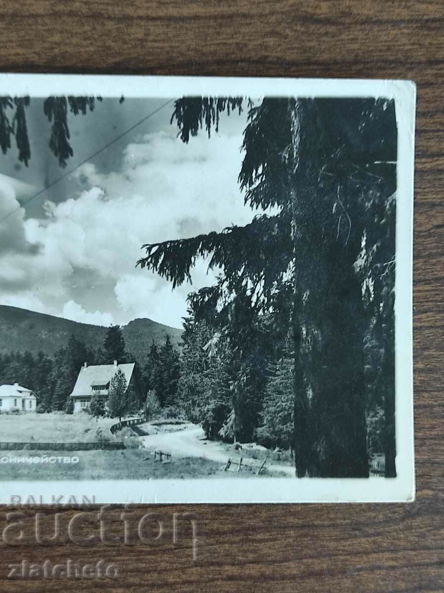 Postal card - Cham-Korea. State Forestry 1946 with price 15.00 BGN | € 7.67 Postal card - Cham-Korea. State Forestry 1946 with price 15.00 BGN | € 7.67