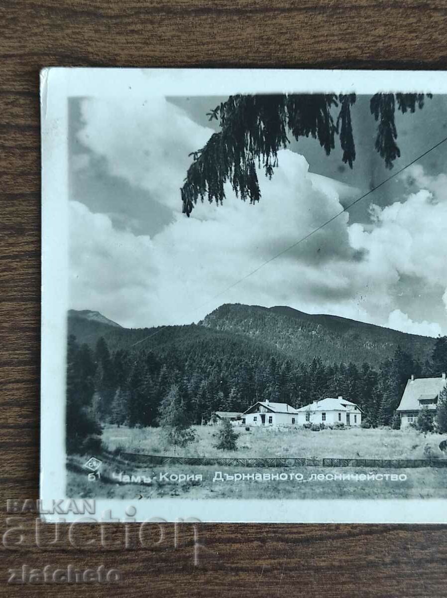 Auction Postal card - Cham-Korea. State Forestry 1946 Auction Postal card - Cham-Korea. State Forestry 1946