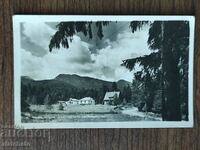 Postal card - Cham-Korea. State Forestry 1946