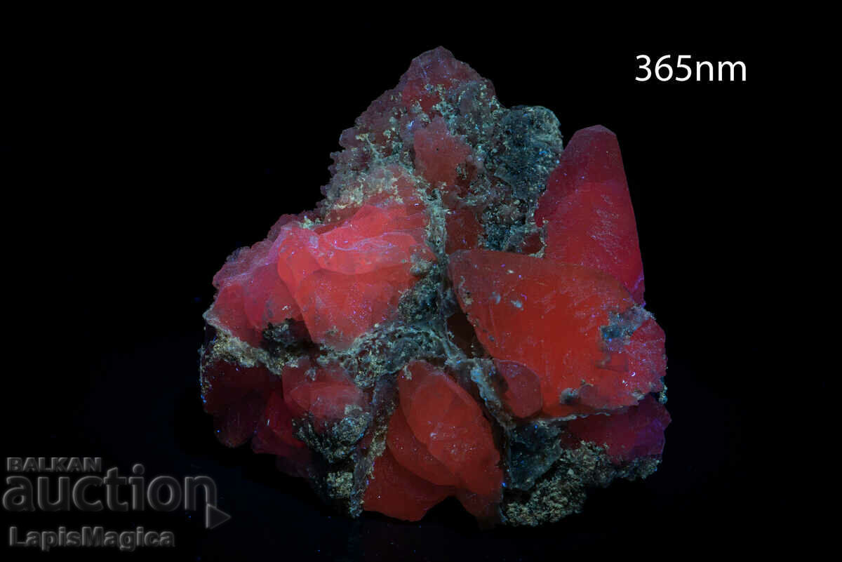 Ασβεστίτης με πάπυρο druse από τη Βουλγαρία 726g φθορισμού με τιμή 33.00 BGN | € 16.87 Ασβεστίτης με πάπυρο druse από τη Βουλγαρία 726g φθορισμού με τιμή 33.00 BGN | € 16.87