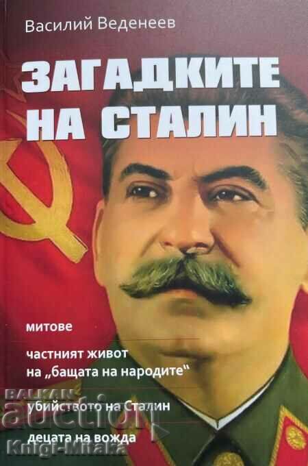 The Enigmas of Stalin - Vasily Vedeneev