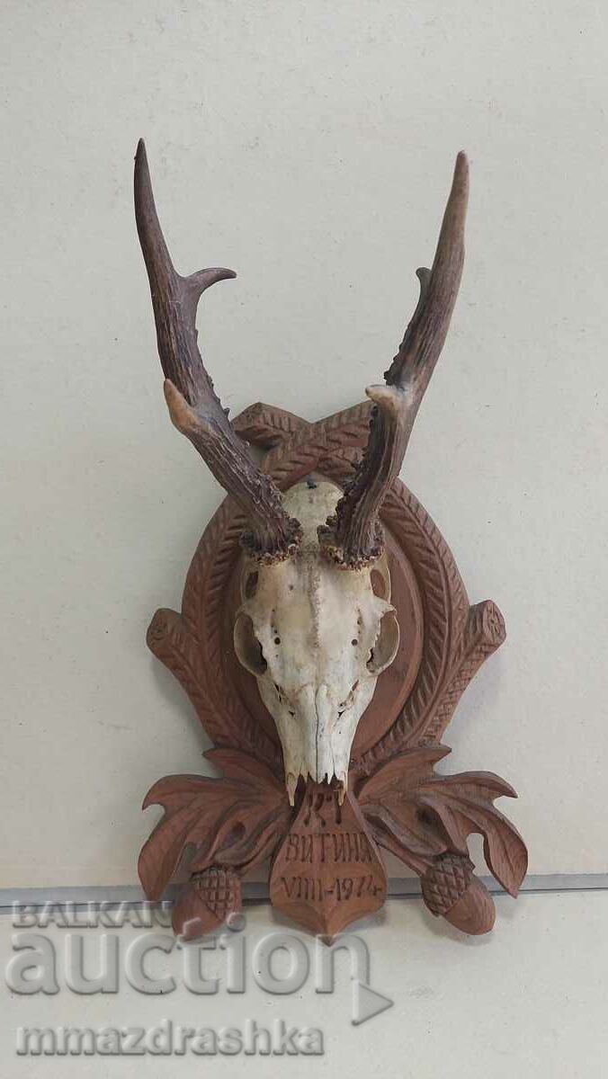 Hunting trophy 2