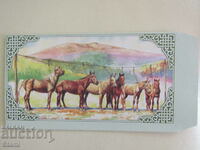 New Mailing Envelope-Mongolia-4