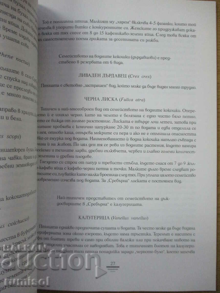 Delivery of Silver - European dream, Rosen Iliev, Gergina Baeva