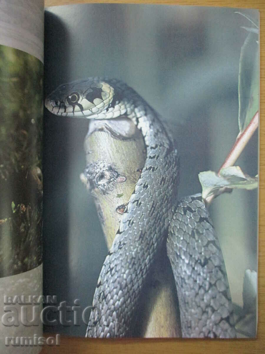 Delivery of Srebarna - A European dream - Rosen Iliev, Gergina Baeva Delivery of Srebarna - A European dream - Rosen Iliev, Gergina Baeva