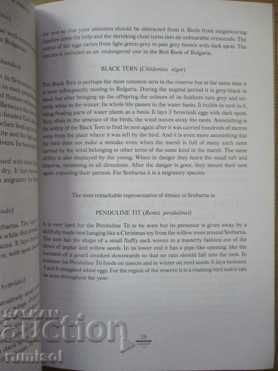 Srebarna - A European dream - Rosen Iliev, Gergina Baeva - 5 Srebarna - A European dream - Rosen Iliev, Gergina Baeva - 5