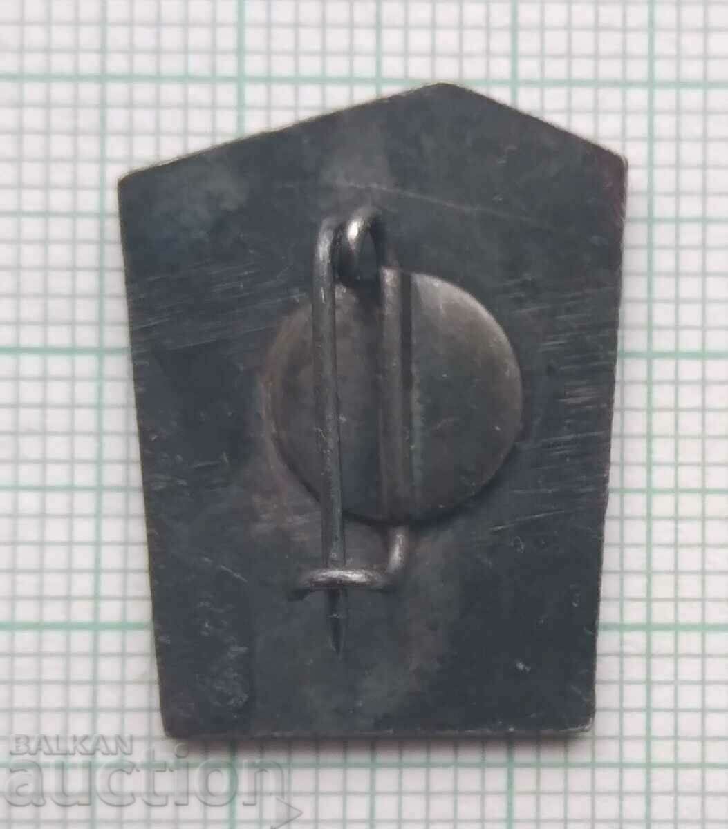 Auction  16701 Badge - Kremikovsky builder